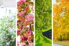 Blumen wachsen welche Jahreszeit